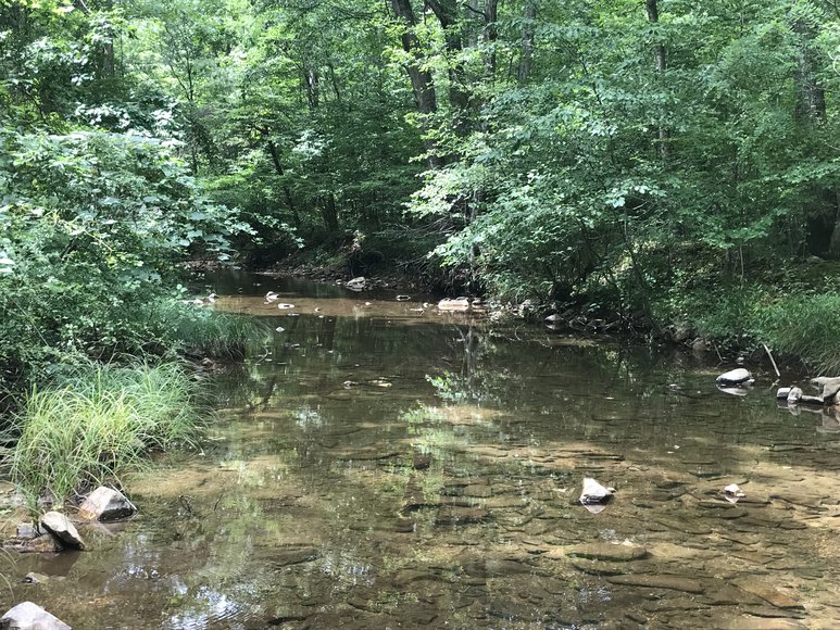 Image for Court Ordered Sale, Bridge Estate - 54.37+/- AC Near Wintergreen Ski Resort - 3604 Mt. Torrey Rd. Lyndhurst, VA 22952