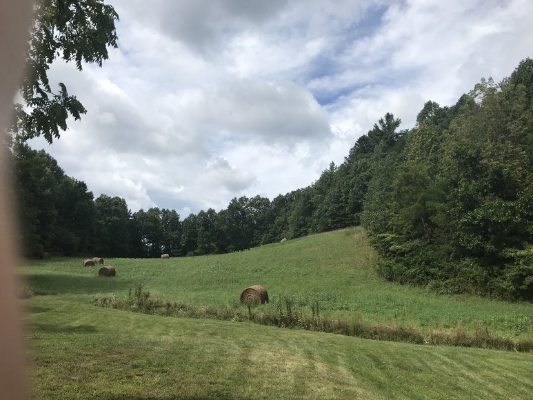 Image for Court Ordered Sale, Bridge Estate - 54.37+/- AC Near Wintergreen Ski Resort - 3604 Mt. Torrey Rd. Lyndhurst, VA 22952