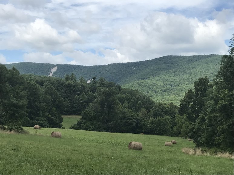 Image for Court Ordered Sale, Bridge Estate - 54.37+/- AC Near Wintergreen Ski Resort - 3604 Mt. Torrey Rd. Lyndhurst, VA 22952