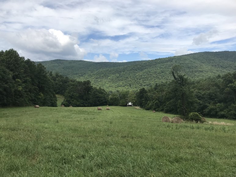 Image for Court Ordered Sale, Bridge Estate - 54.37+/- AC Near Wintergreen Ski Resort - 3604 Mt. Torrey Rd. Lyndhurst, VA 22952