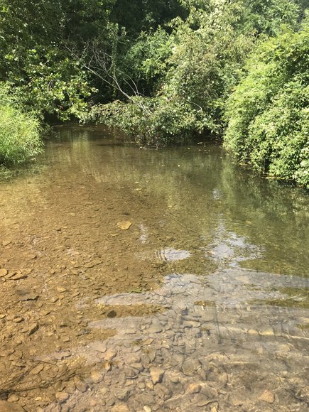 Image for Court Ordered Sale, Bridge Estate - 54.37+/- AC Near Wintergreen Ski Resort - 3604 Mt. Torrey Rd. Lyndhurst, VA 22952