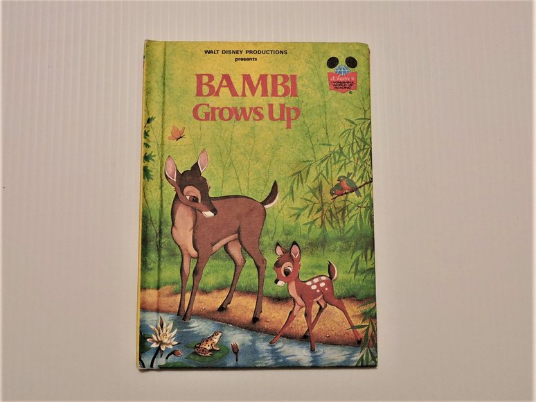 Image for Walt Disney Wonderful World of Reading First Edition Series