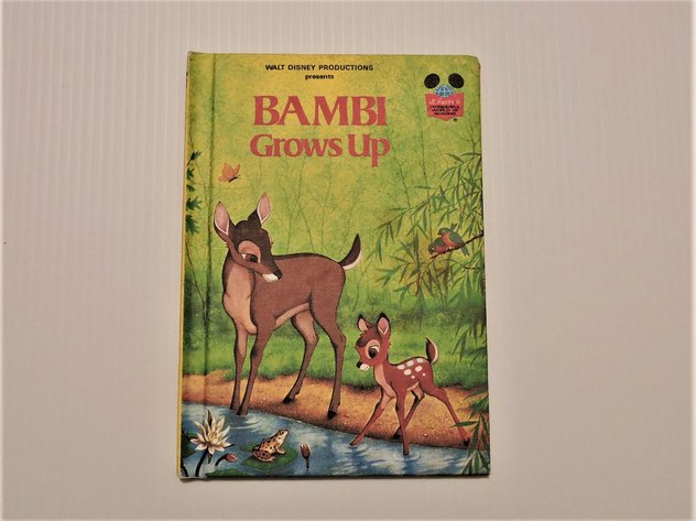 Image for Walt Disney Wonderful World of Reading First Edition Series