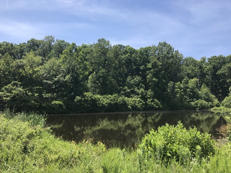 Image for 67.39 AC Sportsman's Paradise - 1034 Cherry Creek Rd., Halifax, VA 24577