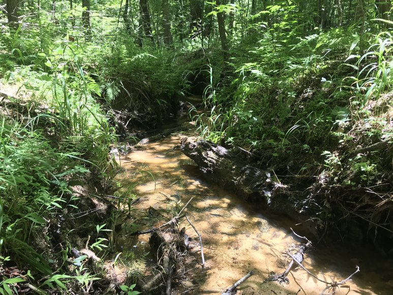 Image for 67.39 AC Sportsman's Paradise - 1034 Cherry Creek Rd., Halifax, VA 24577