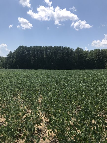 Image for 67.39 AC Sportsman's Paradise - 1034 Cherry Creek Rd., Halifax, VA 24577