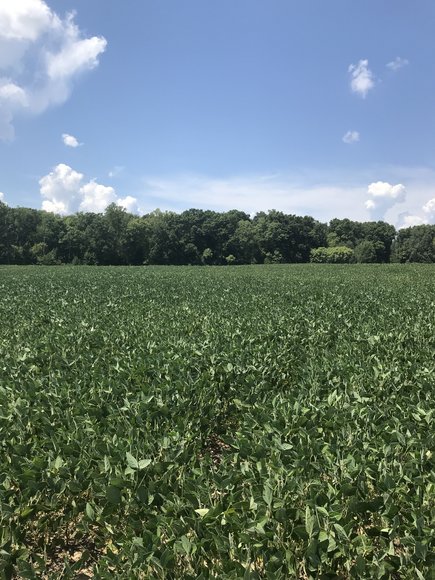 Image for 67.39 AC Sportsman's Paradise - 1034 Cherry Creek Rd., Halifax, VA 24577