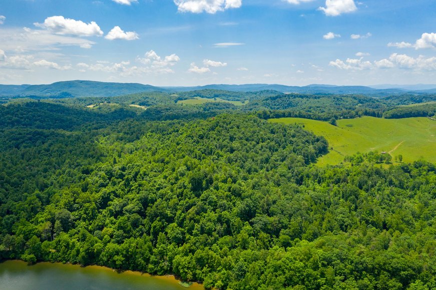 Image for 145 Acres Overlooking the New River: Draper, VA