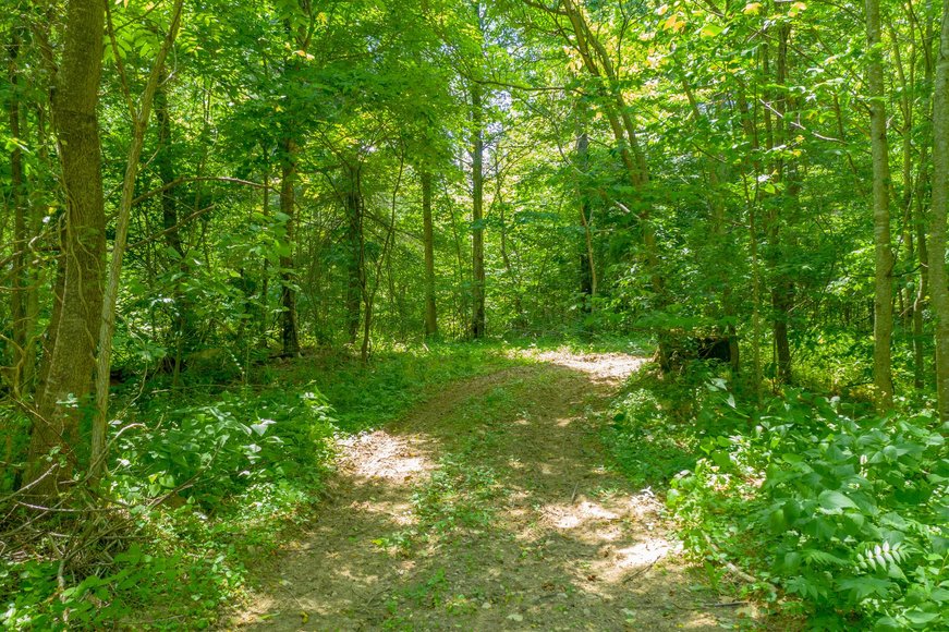 Image for 145 Acres Overlooking the New River: Draper, VA