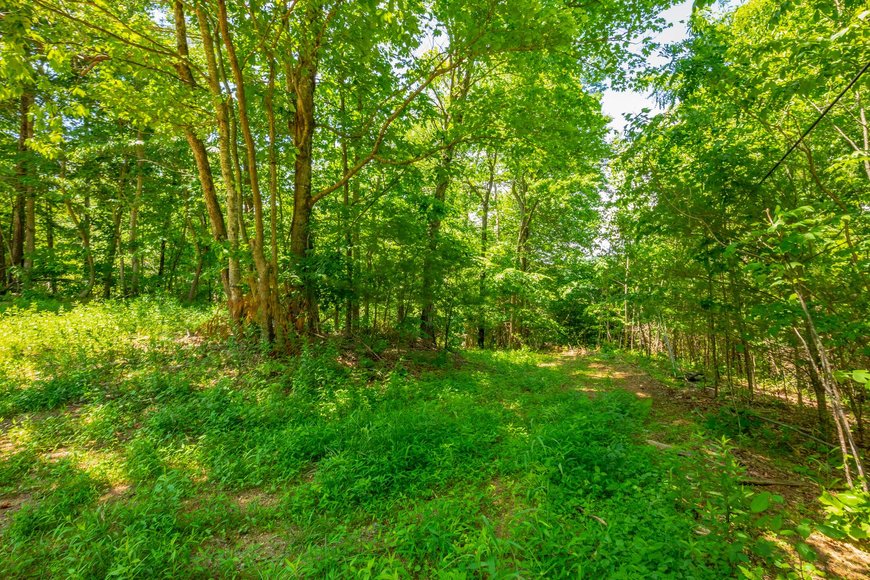Image for 145 Acres Overlooking the New River: Draper, VA