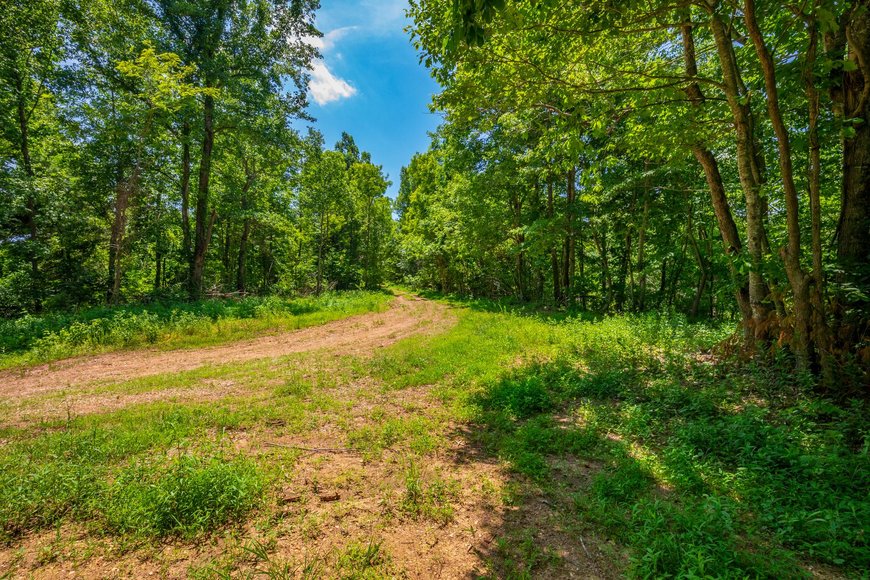 Image for 145 Acres Overlooking the New River: Draper, VA