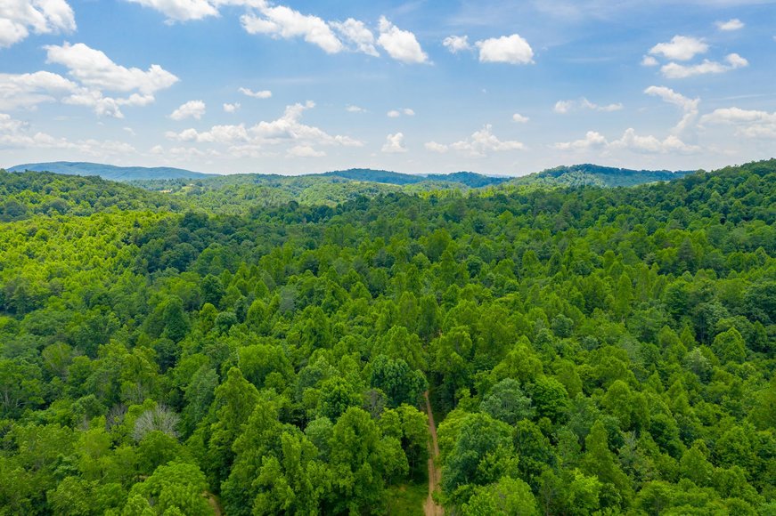 Image for 145 Acres Overlooking the New River: Draper, VA