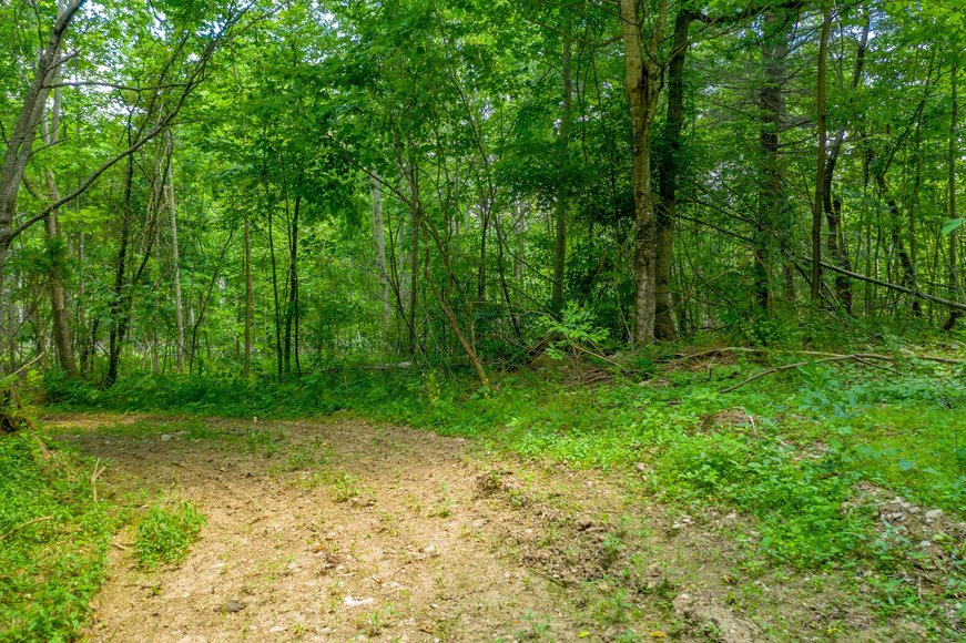 Image for 145 Acres Overlooking the New River: Draper, VA