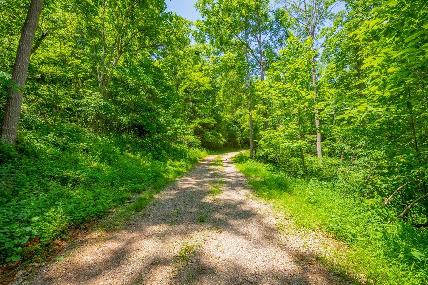 Image for 145 Acres Overlooking the New River: Draper, VA