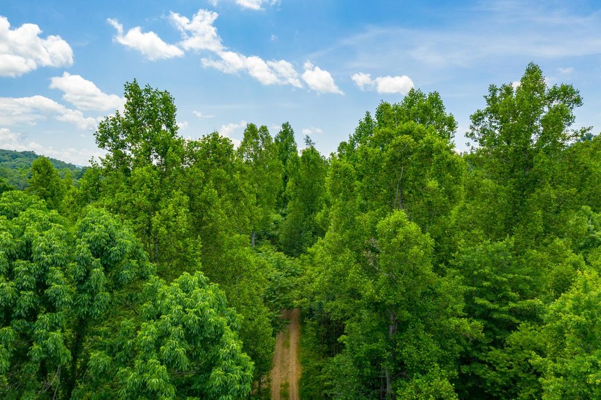 Image for 145 Acres Overlooking the New River: Draper, VA