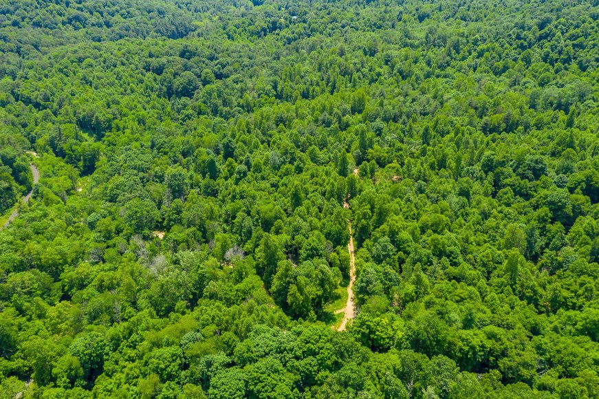 Image for 145 Acres Overlooking the New River: Draper, VA