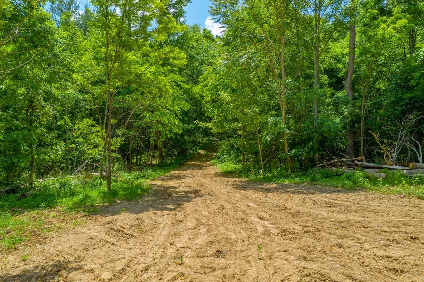 Image for 145 Acres Overlooking the New River: Draper, VA