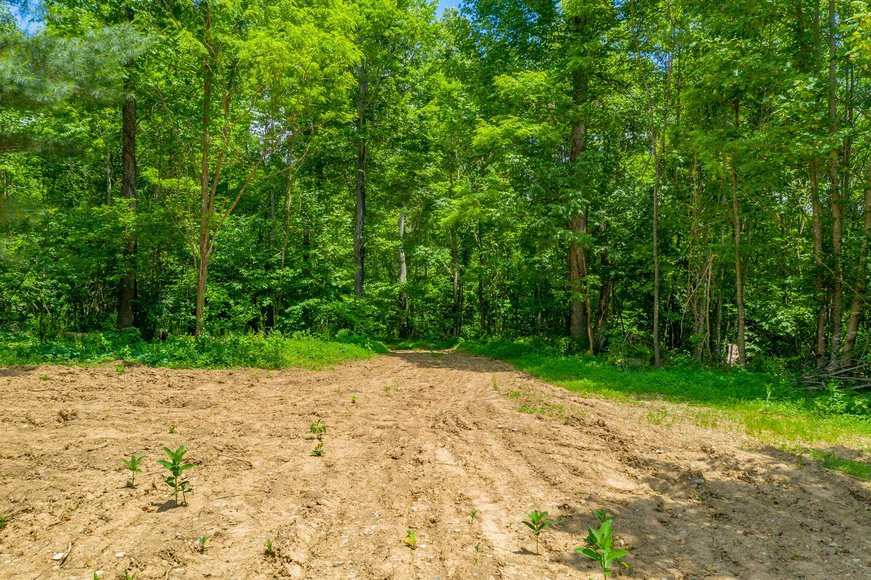 Image for 145 Acres Overlooking the New River: Draper, VA