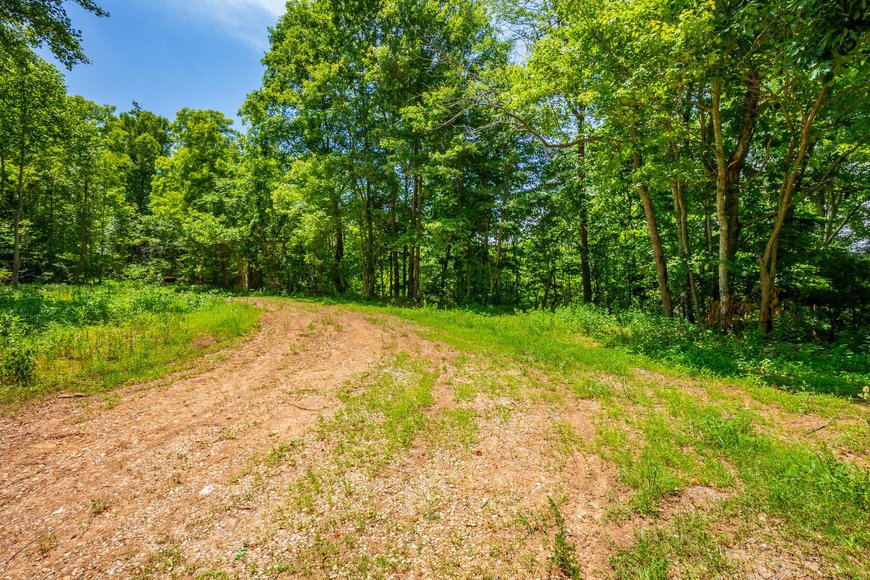 Image for 145 Acres Overlooking the New River: Draper, VA