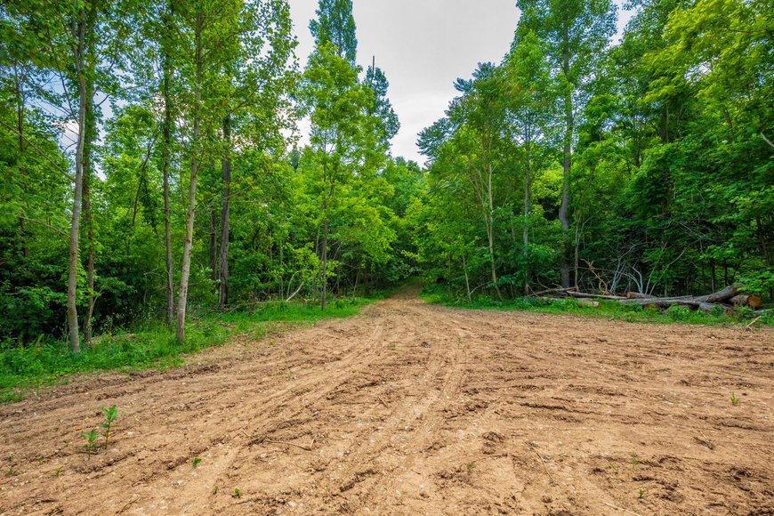 Image for 145 Acres Overlooking the New River: Draper, VA