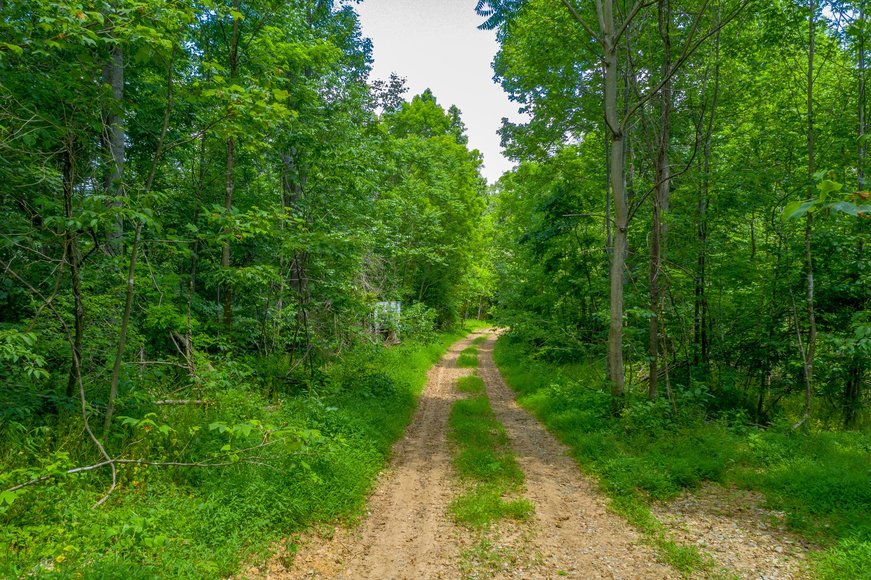 Image for 145 Acres Overlooking the New River: Draper, VA