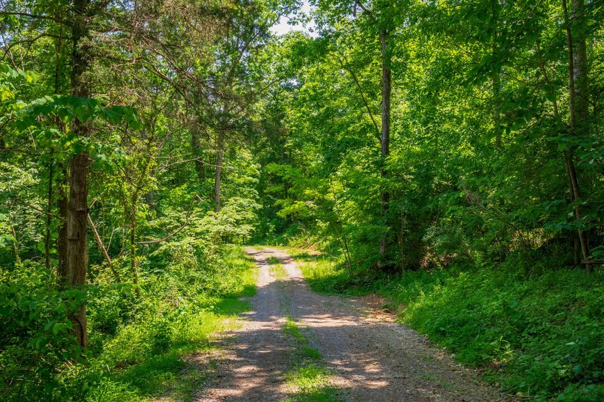 Image for 145 Acres Overlooking the New River: Draper, VA