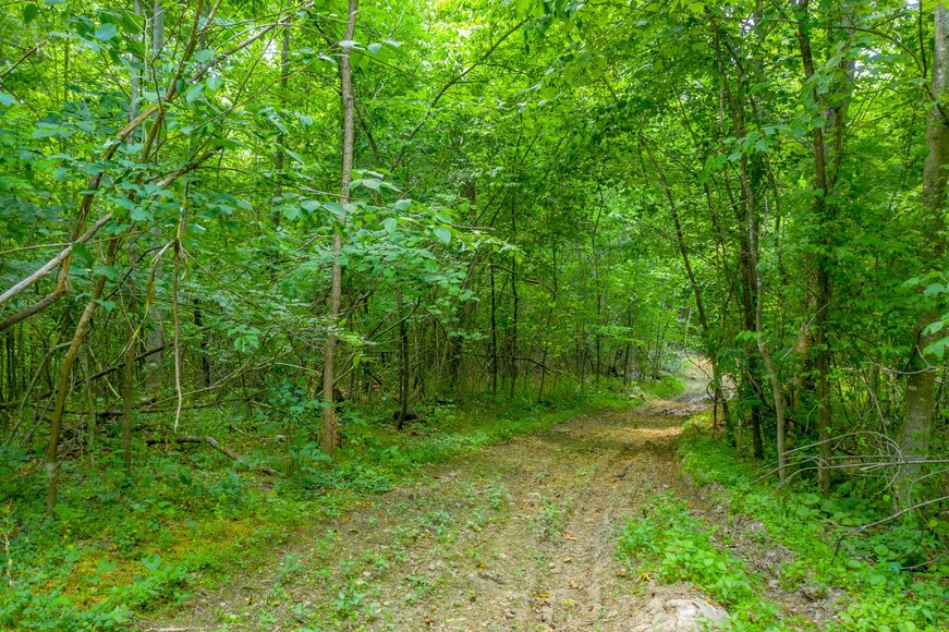 Image for 145 Acres Overlooking the New River: Draper, VA