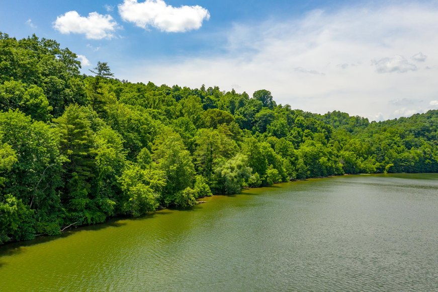 Image for 145 Acres Overlooking the New River: Draper, VA