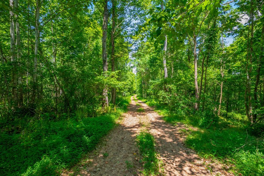 Image for 145 Acres Overlooking the New River: Draper, VA