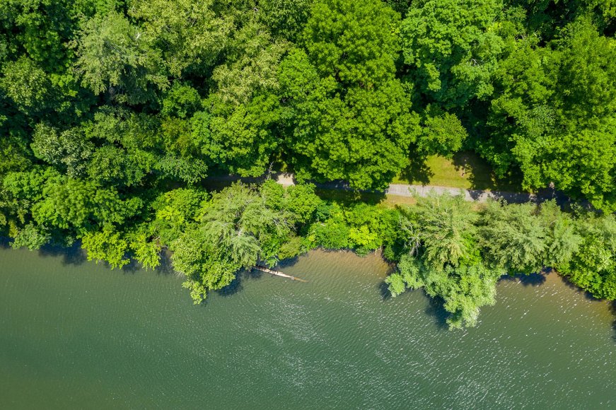 Image for 145 Acres Overlooking the New River: Draper, VA