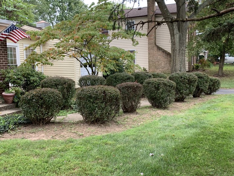 Image for 3 BR/2.5 BA Home in Fairfax County Only 5 Miles From Dulles Airport