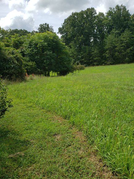 Image for 2227 Marshall Mill Rd, Gladys, VA 24551