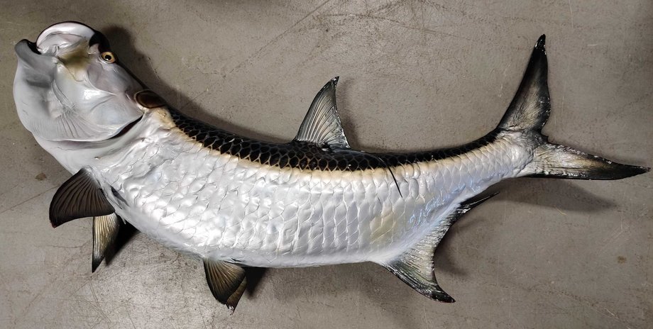 Image for September Consignment Online Auction