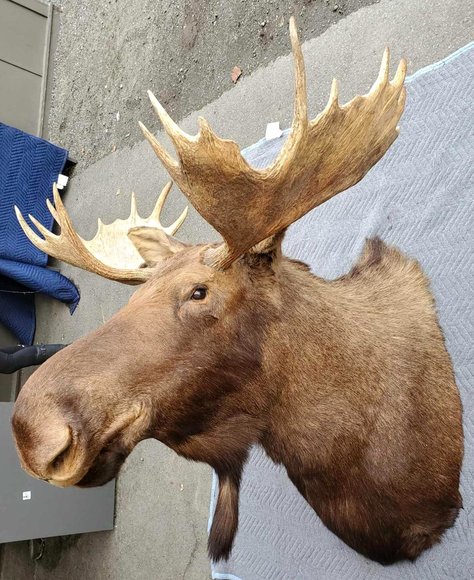 Image for September Consignment Online Auction