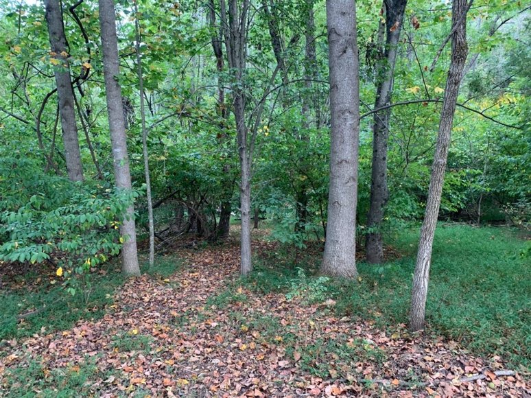 Image for 1933 Wards Ferry Rd, Lynchburg, VA 24502