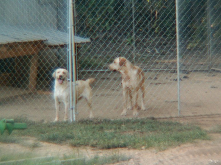 Image for 886  FARMERS MT RD,  Gretna, VA  24557