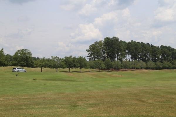 Image for 2 Residential Lots in Hawks Ridge, Ball Gound, GA