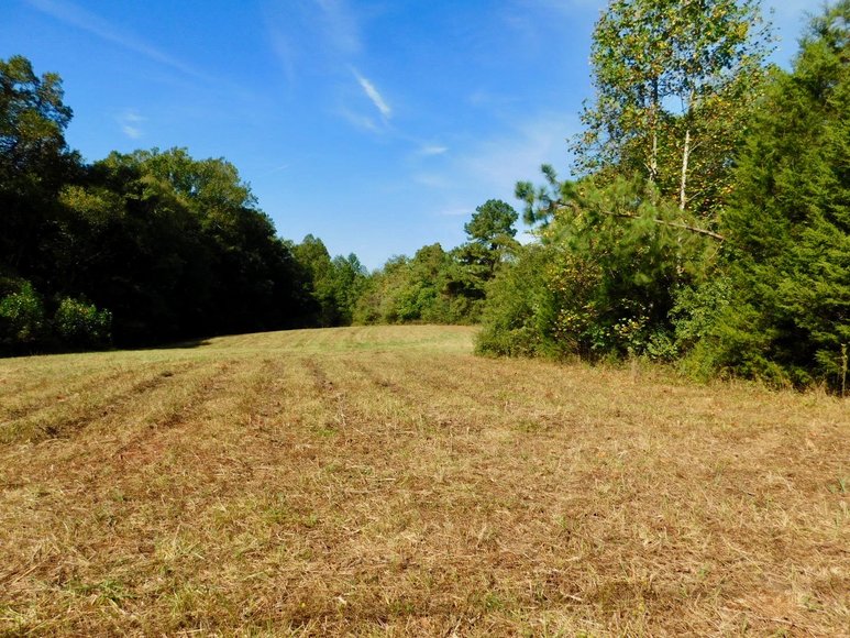 Image for 4 BR/3 BA Home on 11 +/- Acres w/Large Workshop/Barn in Orange County, VA