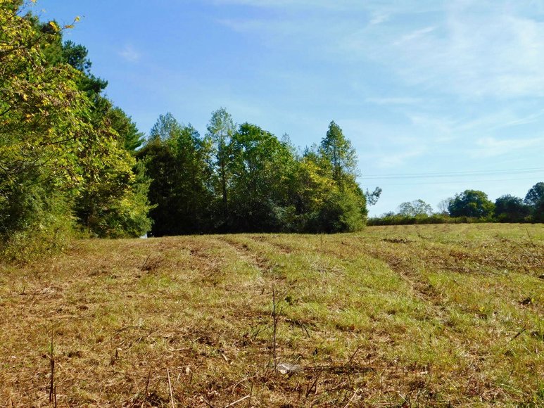 Image for 4 BR/3 BA Home on 11 +/- Acres w/Large Workshop/Barn in Orange County, VA