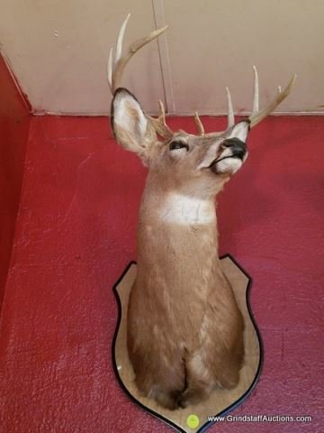 Image for Restuarant Equipment Auction On Line Only - Mechanicsville VA