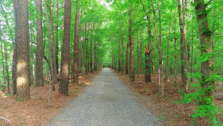 Image for Immaculate 3 BR/3 BA Log Home on 8.4 +/- Acres Only Minutes from Lake Anna in Louisa County, VA