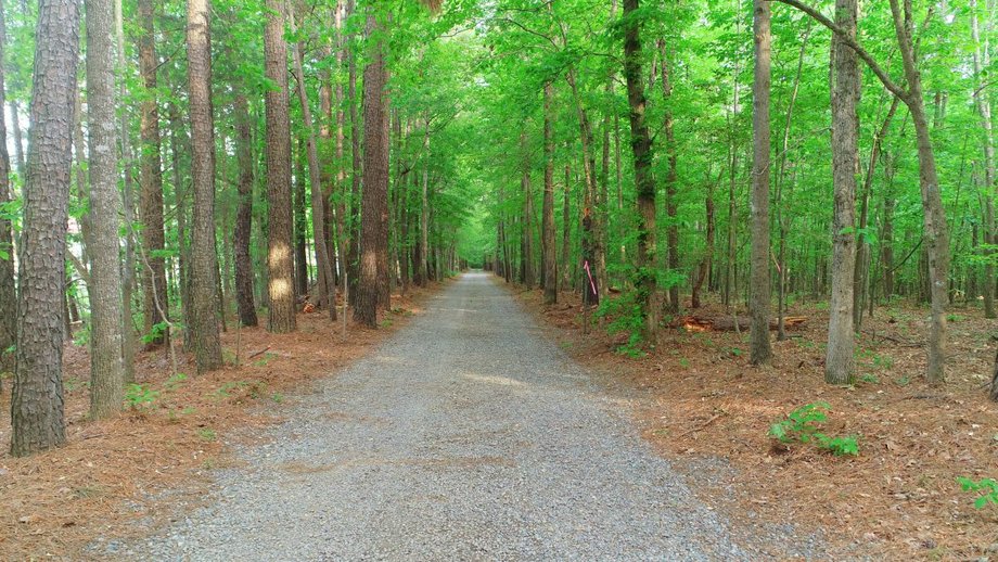 Image for Immaculate 3 BR/3 BA Log Home on 8.4 +/- Acres Only Minutes from Lake Anna in Louisa County, VA