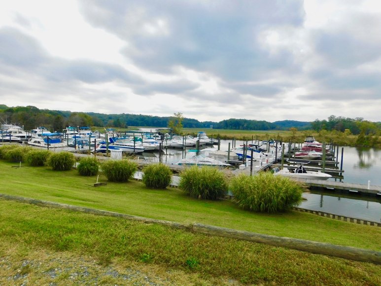 Image for Wooded Waterfront Building Lot in Gated Community--North Stafford County, VA