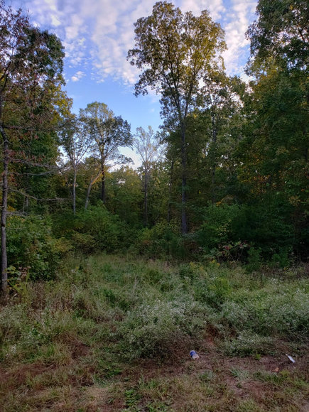 Image for Lot 4 Marysville Road