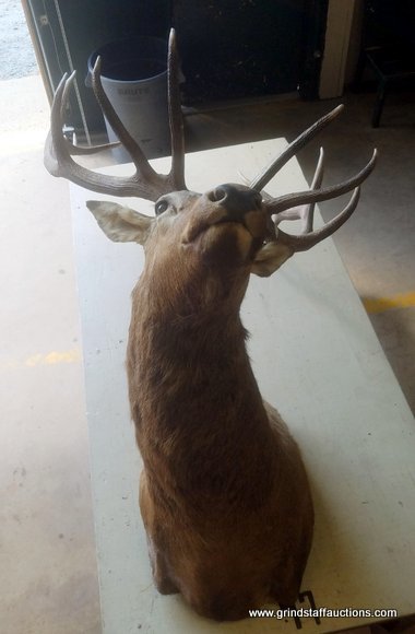 Image for Multi Estate Auction