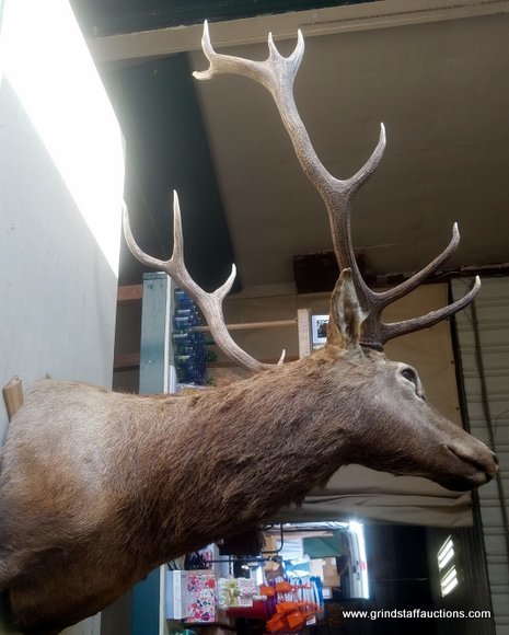 Image for Multi Estate Auction