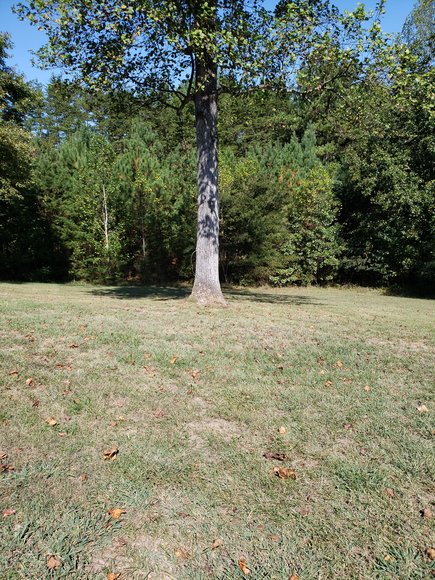 Image for 1212 Stage Coach Road, Nathalie, VA 24577