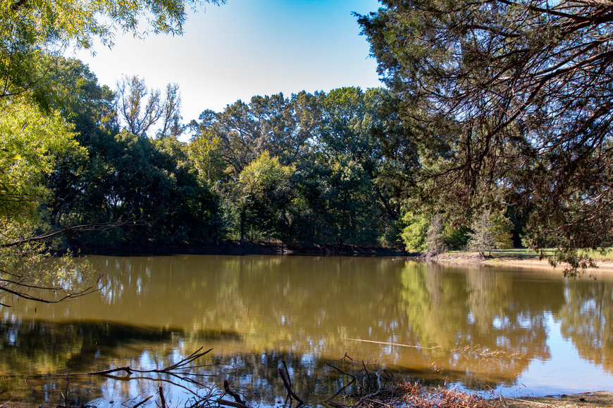 Image for Bob Page Estate ~ 4200 Broadway Rd, Ellendale/Bartlett, TN House & 15±Acres ~ No Reserve Auction