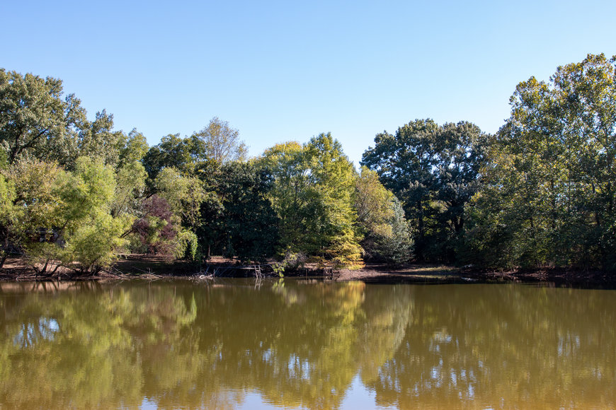 Image for Bob Page Estate ~ 4200 Broadway Rd, Ellendale/Bartlett, TN House & 15±Acres ~ No Reserve Auction