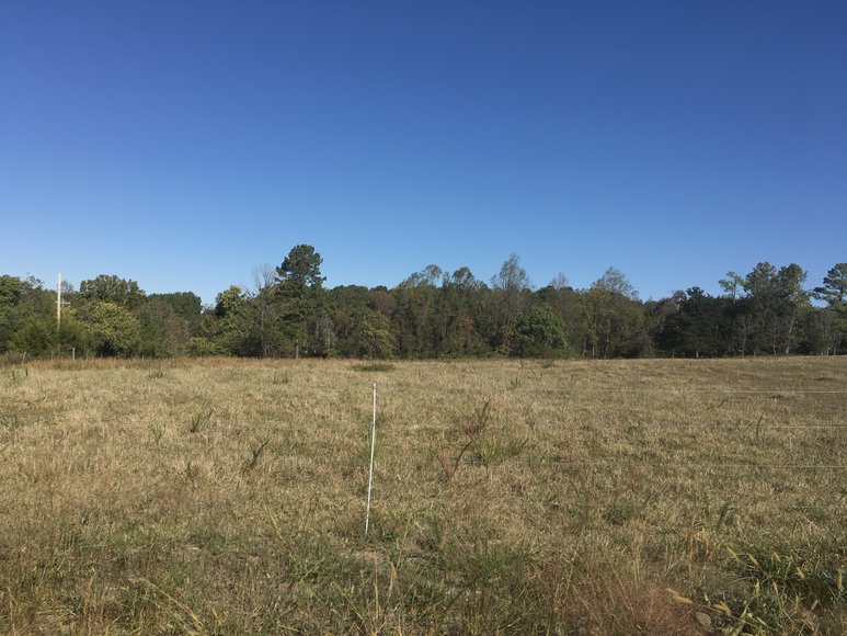 Image for 31.78 Acre Rt 26 Oakville Rd, Appomattox, VA